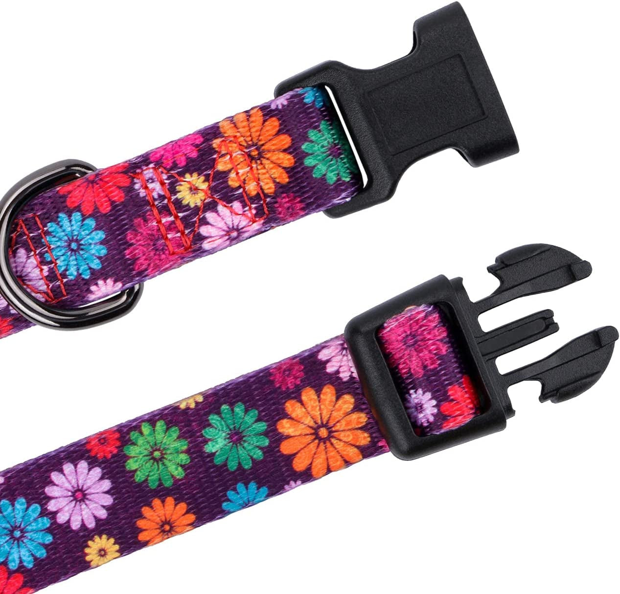 Girl Dog Collars Fall Daisy Pattern, Colorful Flowers Print, Female Collar, Dark Purple, Large