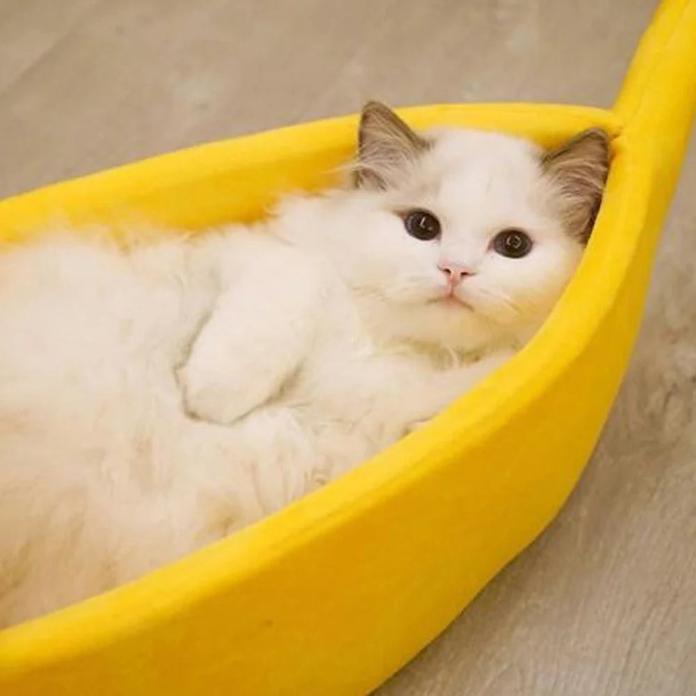 Banana Pet Bed , Cama Para Mascotas Linda Y Divertida Con Cojín Removible Para Perros, Gatos De Interior, Conejos, Animales Pequeños, Amarillo